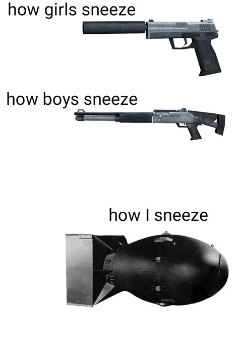 How people sneeze : r/memes