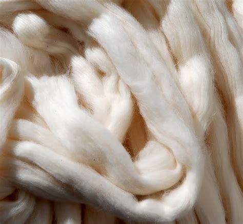 Cotton Fibre | Physical Properties and Chemical Properties of Cotton ...