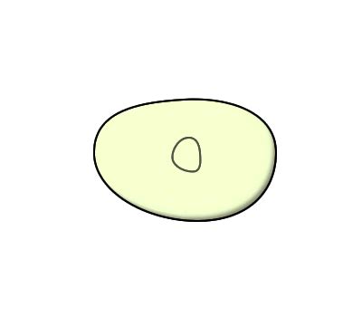 Types of Cell Division: Binary Fission, Mitosis & Meiosis