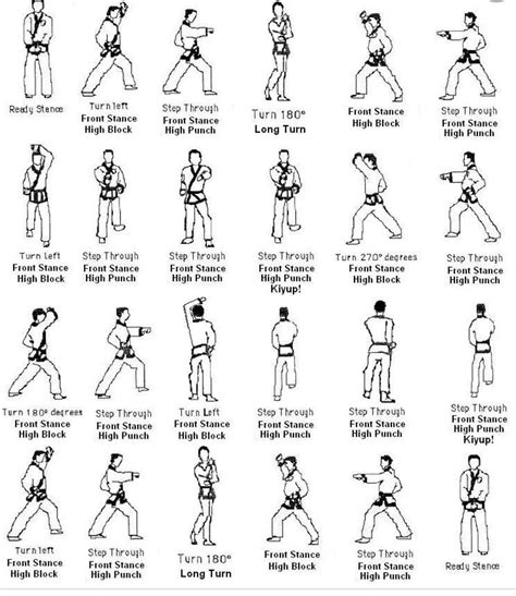 Karate Moves | Karate kata, Karate martial arts, Kyokushin karate