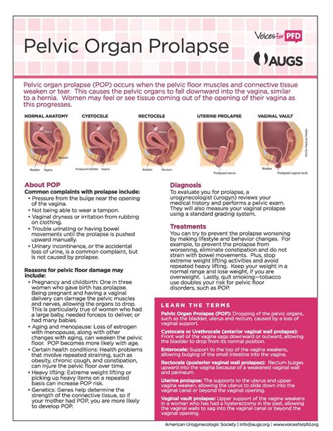 AUGS : Patient Fact Sheets | Pelvic floor, Pelvic organ prolapse ...