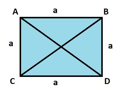 Diagonal of a Square Formula with Solved Examples