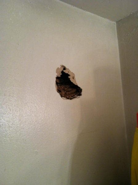 Bees Nest In Wall? - Drywall & Plaster - DIY Chatroom Home Improvement ...