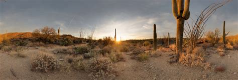 Saguaro National Park at Sunset 360 Panorama | 360Cities