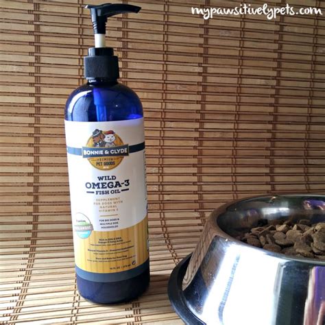 The Benefits of Giving Fish Oil to Your Dog | Pawsitively Pets