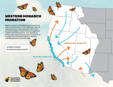 Monarch Butterfly Migration Map