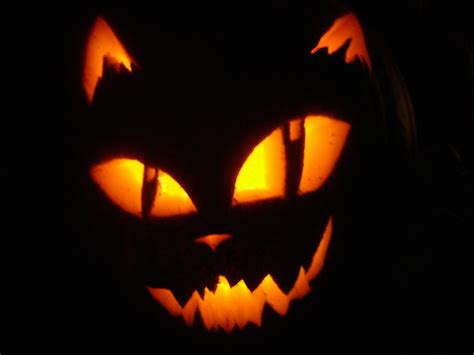 Cat Punkin by ZipKrash | Halloween pumpkin carving stencils, Pumpkin ...