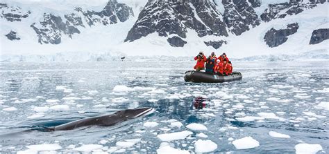 National Geographic Endurance to offer new Antarctica cruises