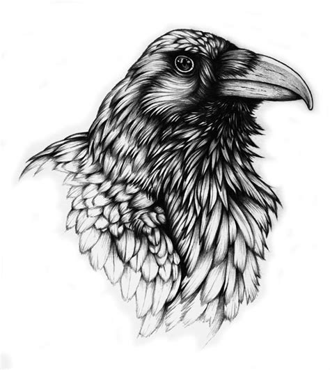 Raven pencil drawing by PXLFLX on Newgrounds