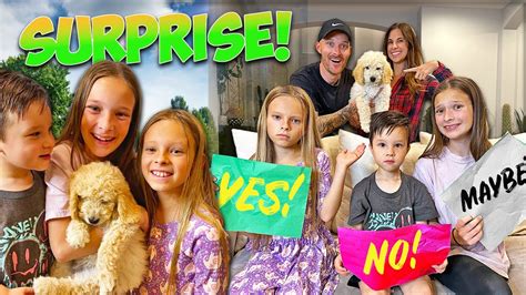 YES or NO Challenge Ends With a NEW PUPPY SURPRISE! - YouTube