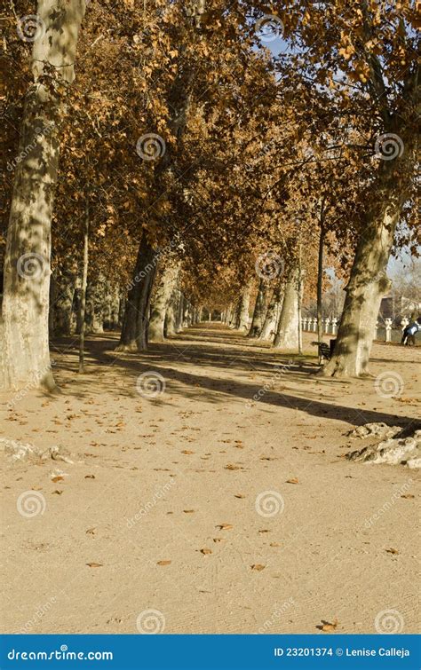 Aranjuez Gardens - Spain stock photo. Image of palace - 23201374