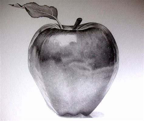 Pencil Drawing Apple