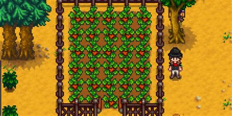 Stardew Valley: 10 Most Valuable Crops To Grow, Ranked