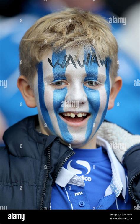 Fan, Sheffield Wednesday Stock Photo - Alamy