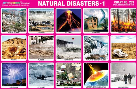 6 Types Of Natural Disasters