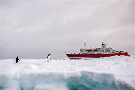 Expedition Cruise Ship, Antarctica - LiveAboard.com