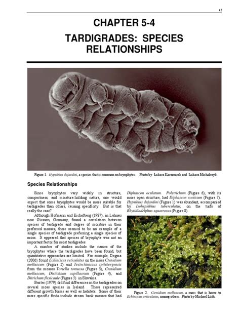 Tardigrades Species Relationships | Moss | Habitat