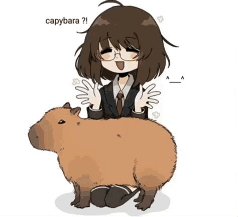 Capybara Coconut Doggy GIF - Capybara Coconut Doggy Oh My Gosh ...