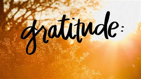 The abundance of gratitude - TheDailyGuardian