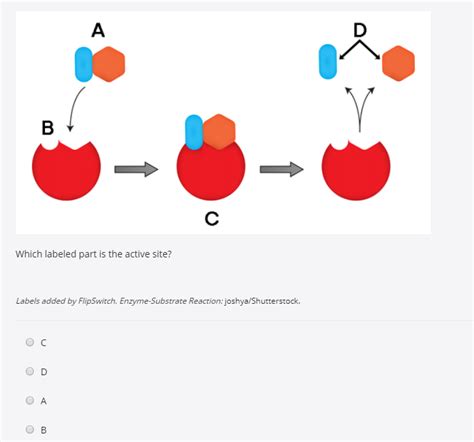 Enzyme substrate complex labeled