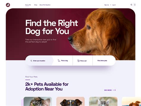 Pet Adoption Website | Pet adoption, Dog adoption, Pets