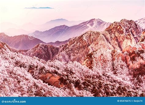 Winter Sunrise Landscape in Huangshan National Park. Stock Image ...