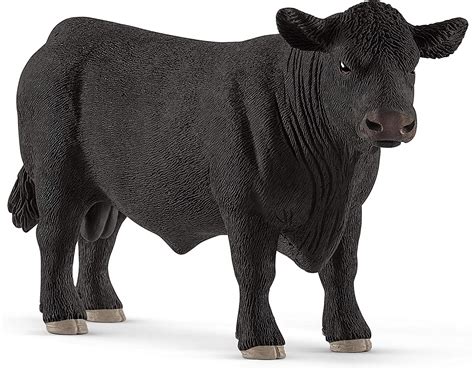 Black Angus Bull