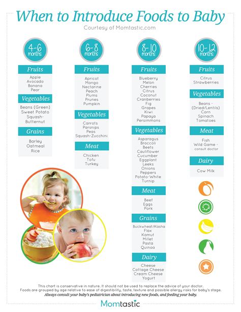 Solid Food Chart for Babies Aged 4-12 Months