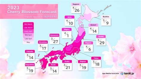 2023 Cherry Blossom Forecast (Part 2): The Earliest Bloom in Fukuoka ...