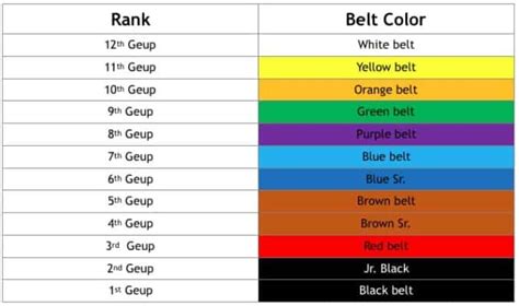 Taekwondo Belt Ranking System – EASILY Explained For Beginners – MMA ...