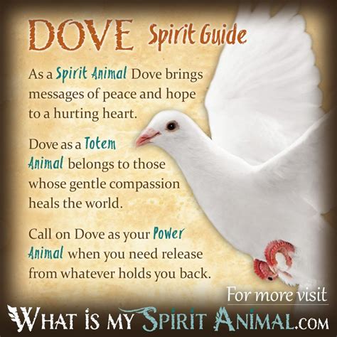 Bird Symbolism & Meaning | Spirit, Totem, & Power Animal