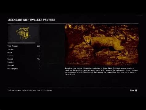 Legendary Nightwalker Panther location RDR2 online - YouTube