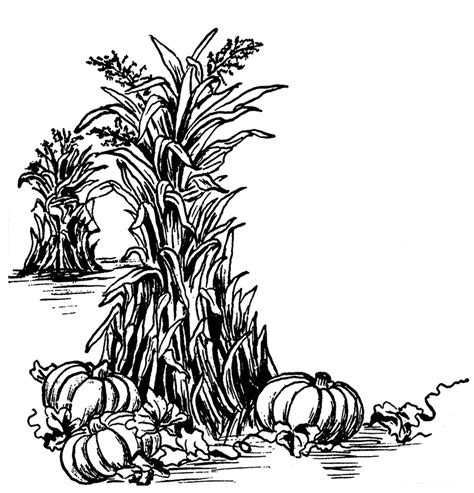 Fall Harvest Clip Art! - The Graphics Fairy