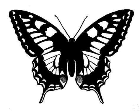 The Graphics Monarch: Free Butterfly Silhouette Image Grayscale Digital ...