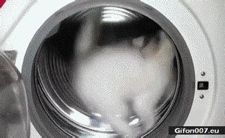 17+ Washing Machine Gif Pics