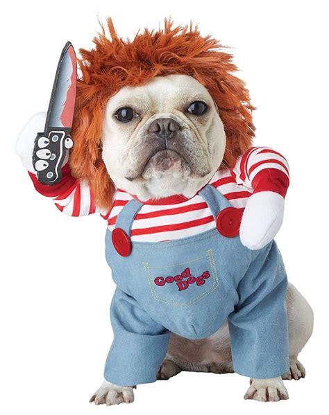 60 Funny Dog Costumes for Halloween – PureWow