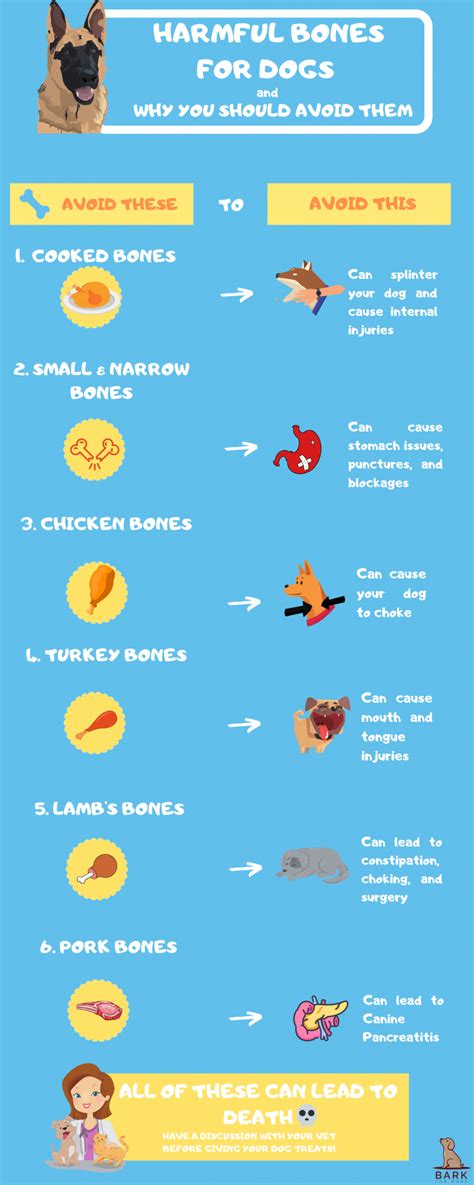 To Chew Or Not To Chew: The Ultimate Safe Bones For Dogs Guide | Bark ...