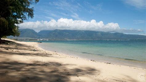 Kanaha Beach in Kahului, Maui, Hawaii | Hawaiian Beach Rentals