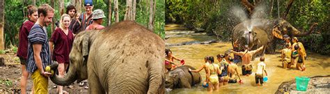 Chiang Mai Elephant Sanctuary Visit (Half/Full Day/Overnight) - Trazy ...