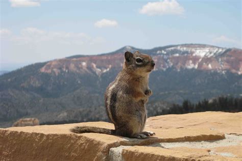 Bryce canyon national park, Bryce canyon, National parks