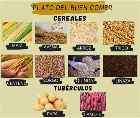 Plato Del Buen Comer Cereales Ejemplo De Cereales Del Plato Del Buen ...