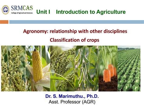 Agronomic Crops Classification - Agriculture | PPT | Free Download