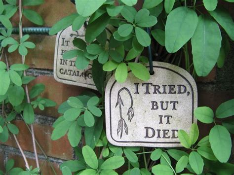 funny garden signs | Funny garden signs, Garden signs, Gardening humor