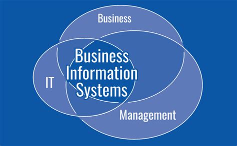 Business Information Systems | Overseas Education Consultant | Study ...