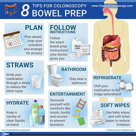 Colonoscopy Prep 2024 - Megan Sibylle