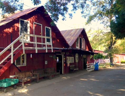 Snow-line Orchard in Oak Glen - Savory Road