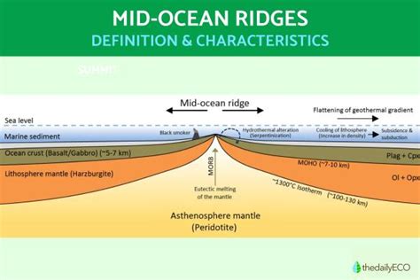 What Is a Mid-Ocean Ridge? - Definition and Characteristics