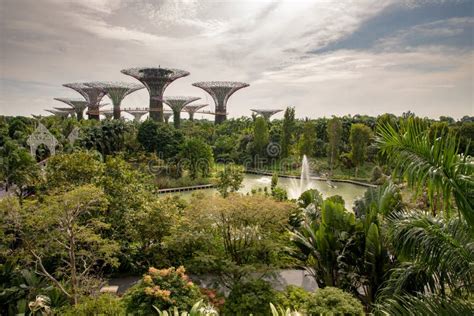 Singapore - December 2018: Aerial View of the Botanical Garden, Gardens ...