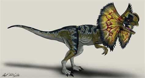 Dilophosaurus Wallpapers - Wallpaper Cave