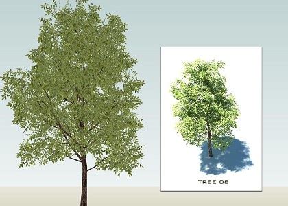 Free 3D Models - VEGETATION - SKETCHUP 3D TREES collection 1 - by ...